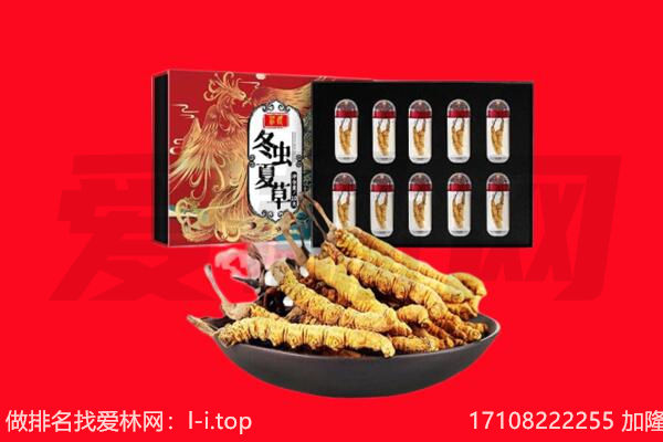 怀柔区回收虫草.jpg